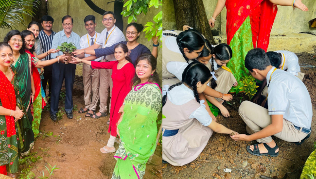 Tree Plantation