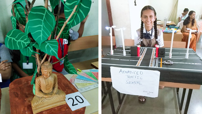 Science and Social Science Exhibition 2019